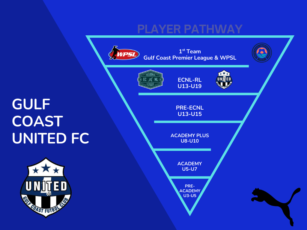 Inverted Pyramid Organizational Chart
